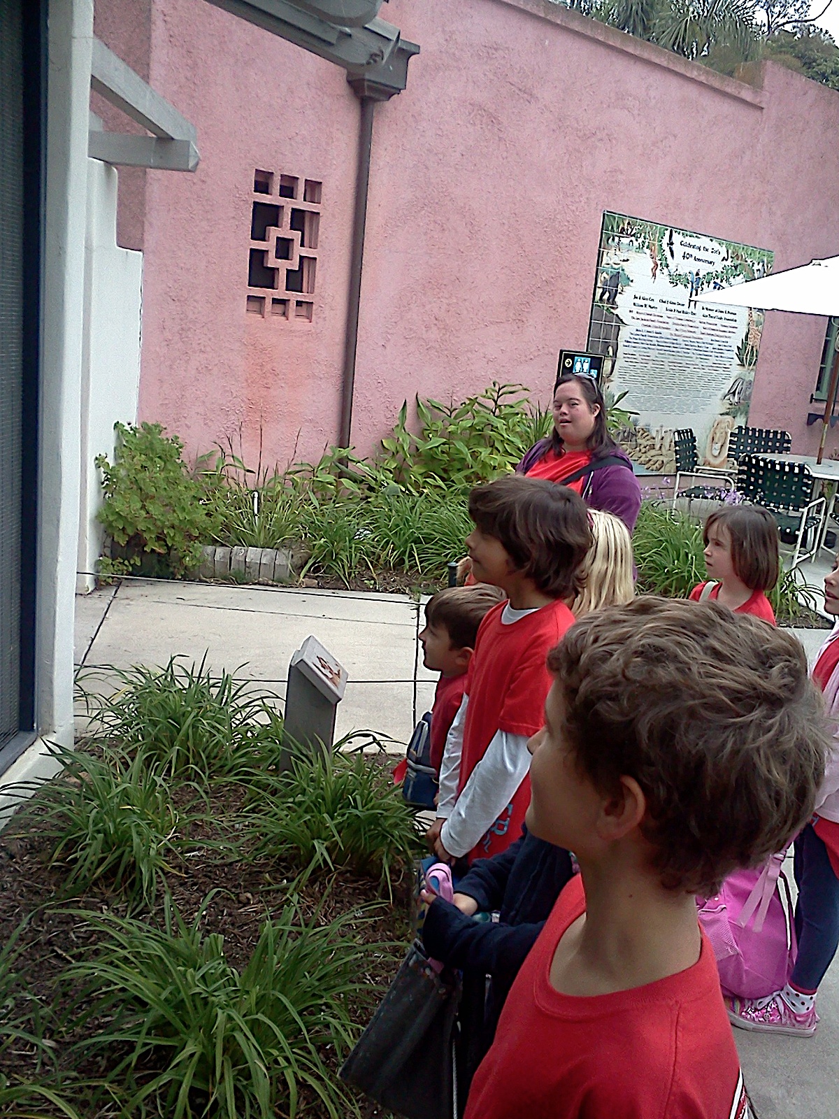 Photo 41
