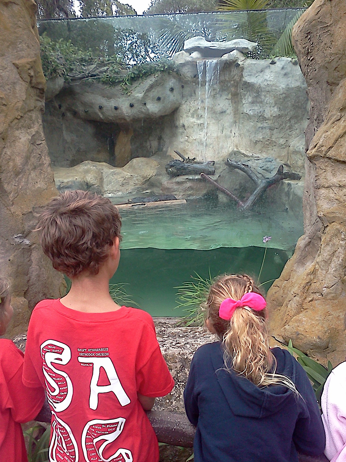 Photo 42
