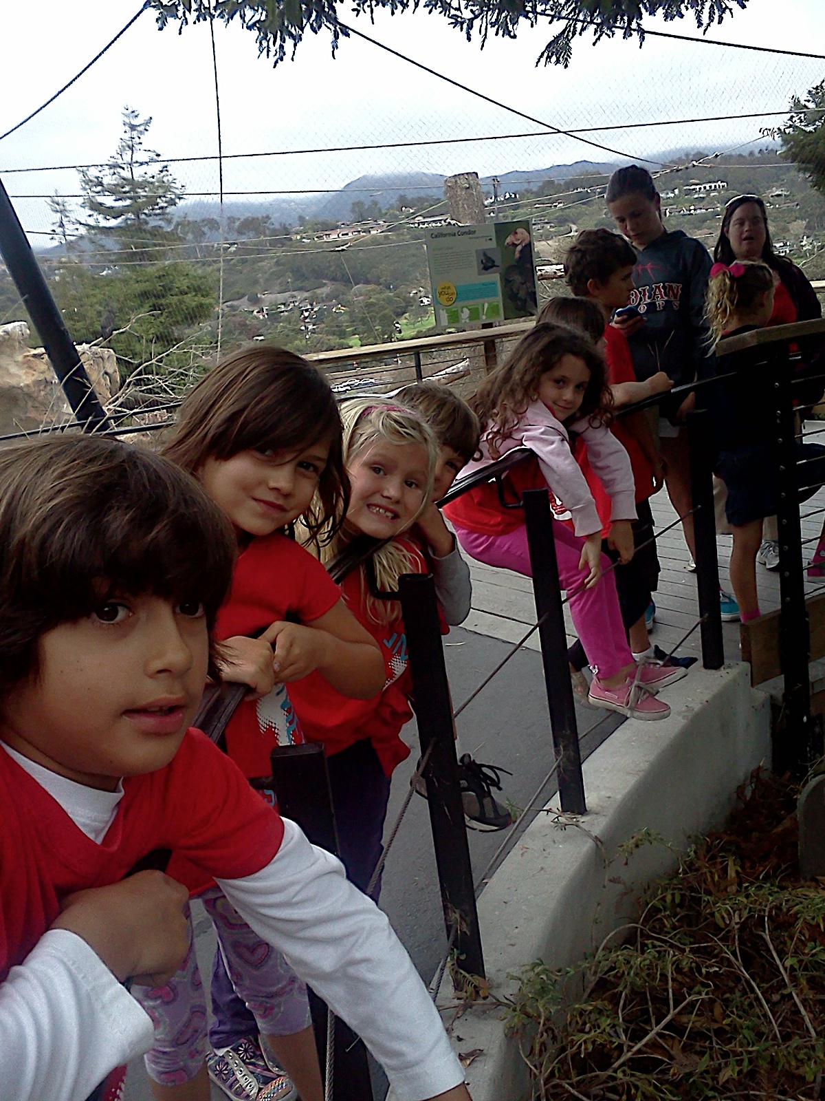 Photo 43