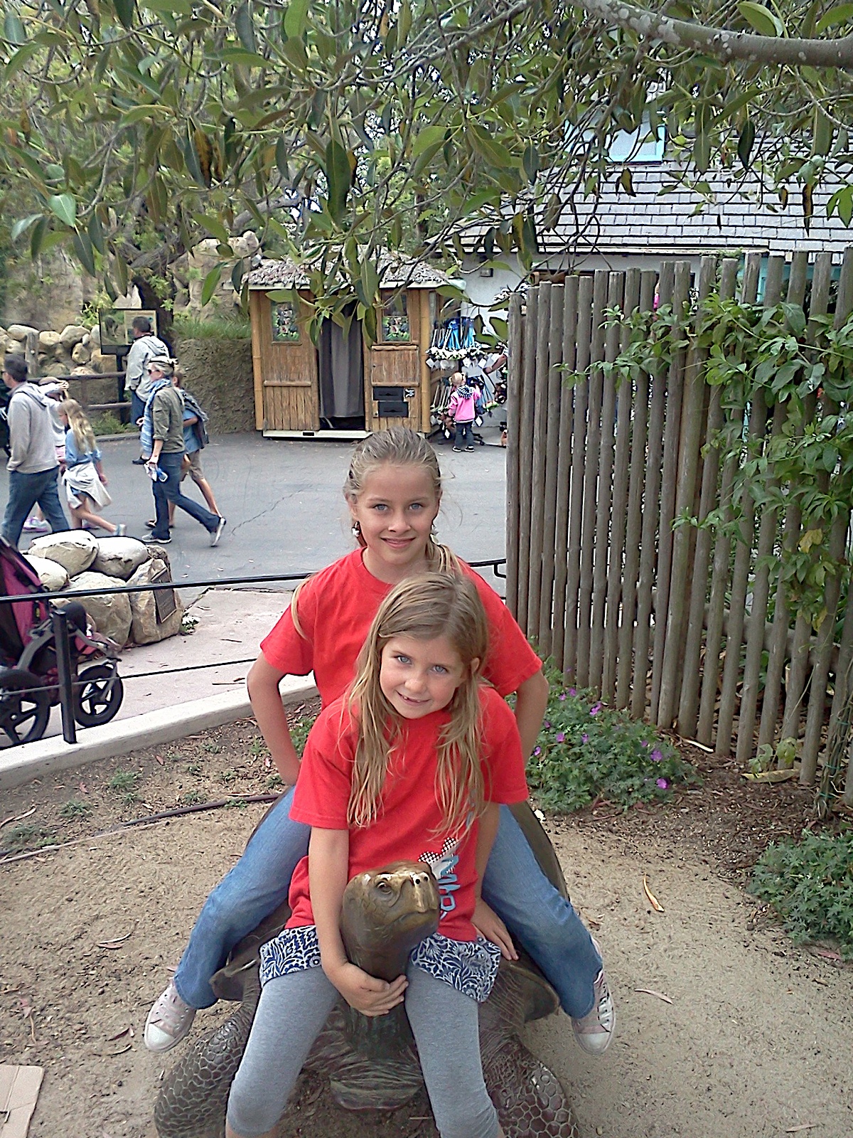 Photo 52