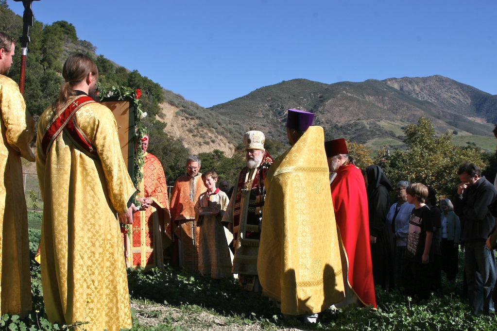 Photo 28
