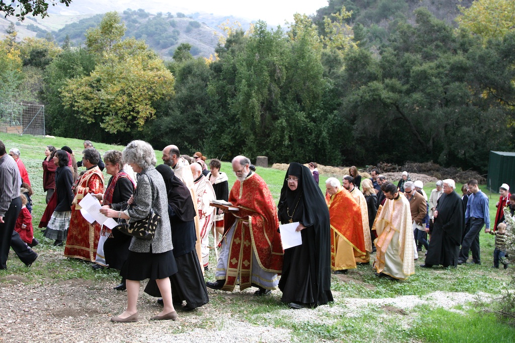 Photo 85