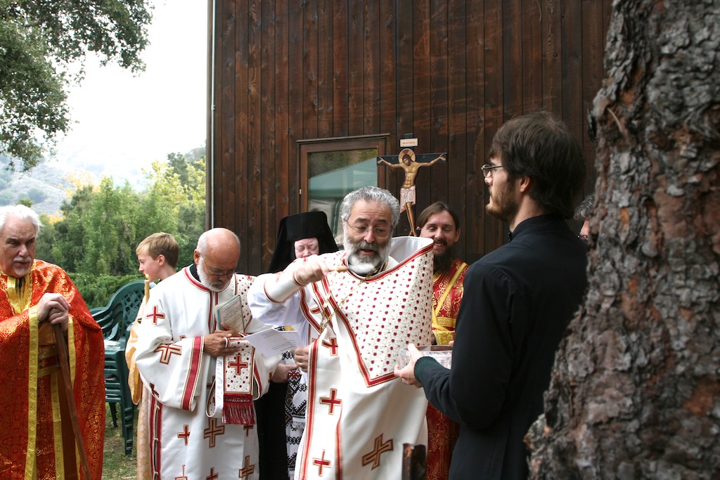 Photo 95
