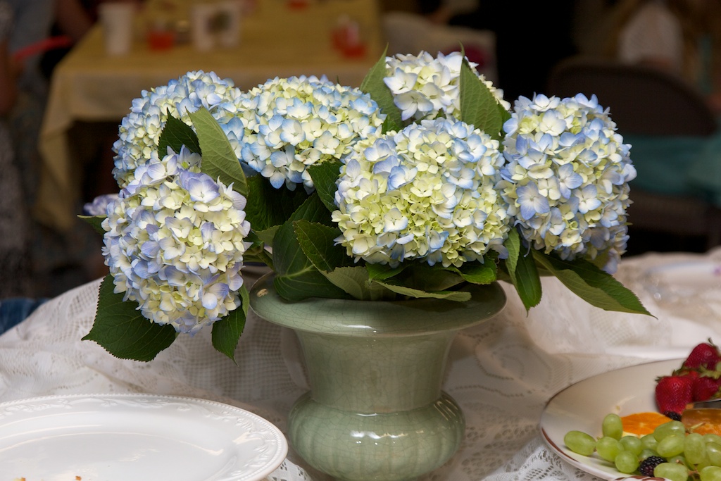 Photo 42