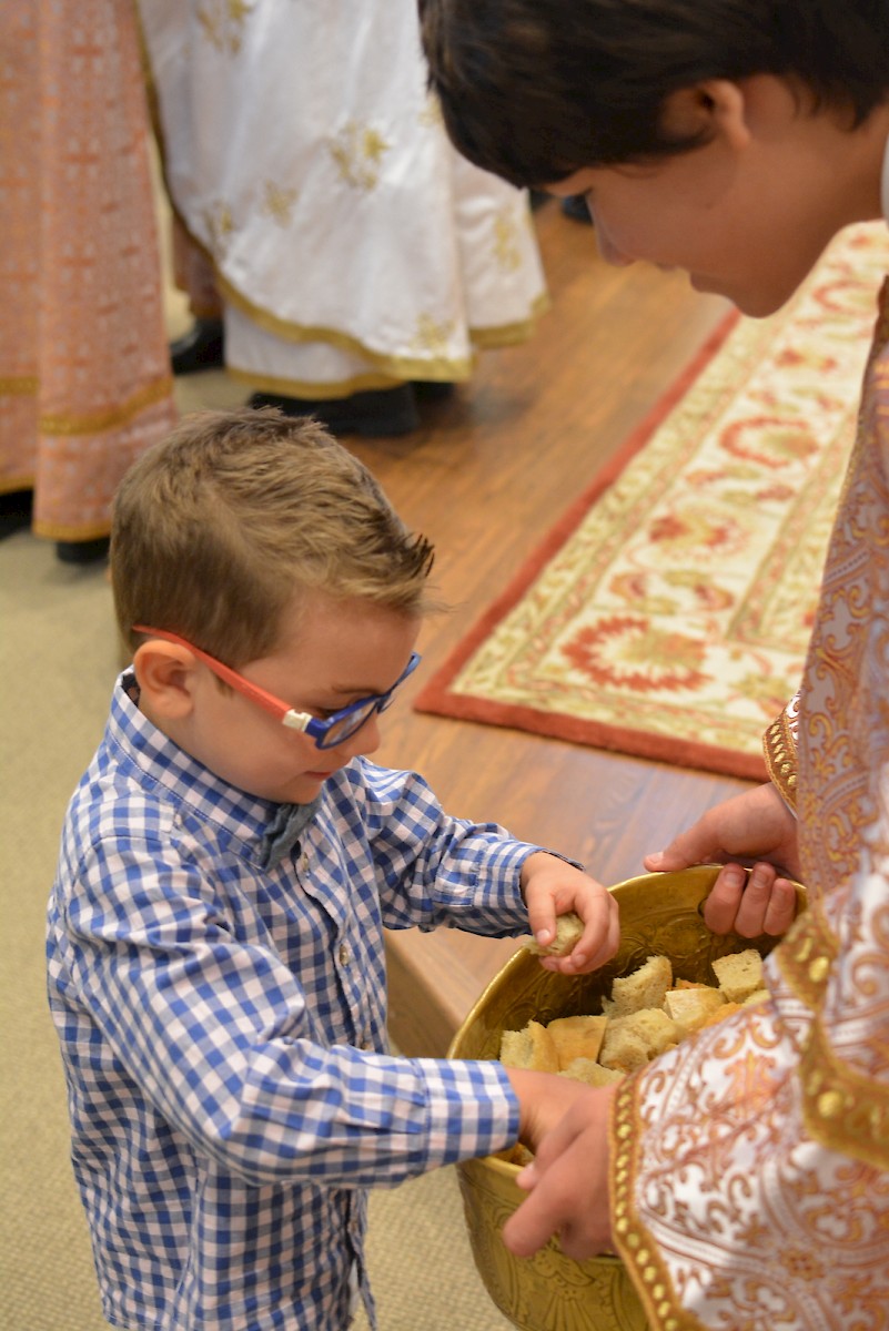 Photo 48