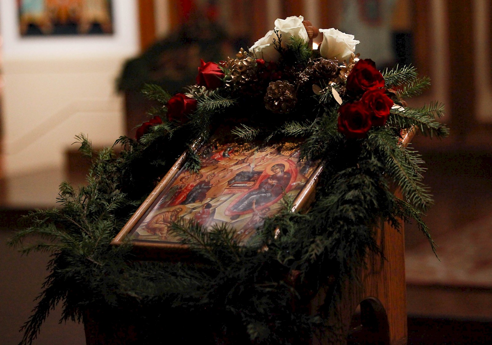 Photo 4