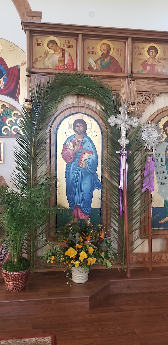 Photo 15
