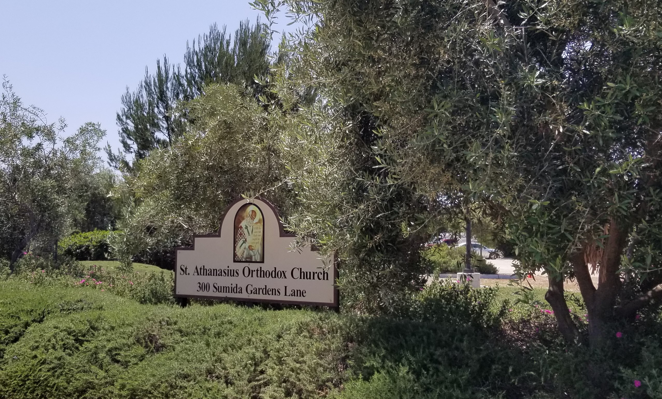 Weekly Bulletin