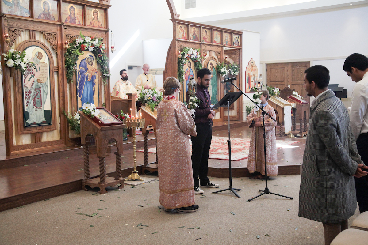 Photo 41