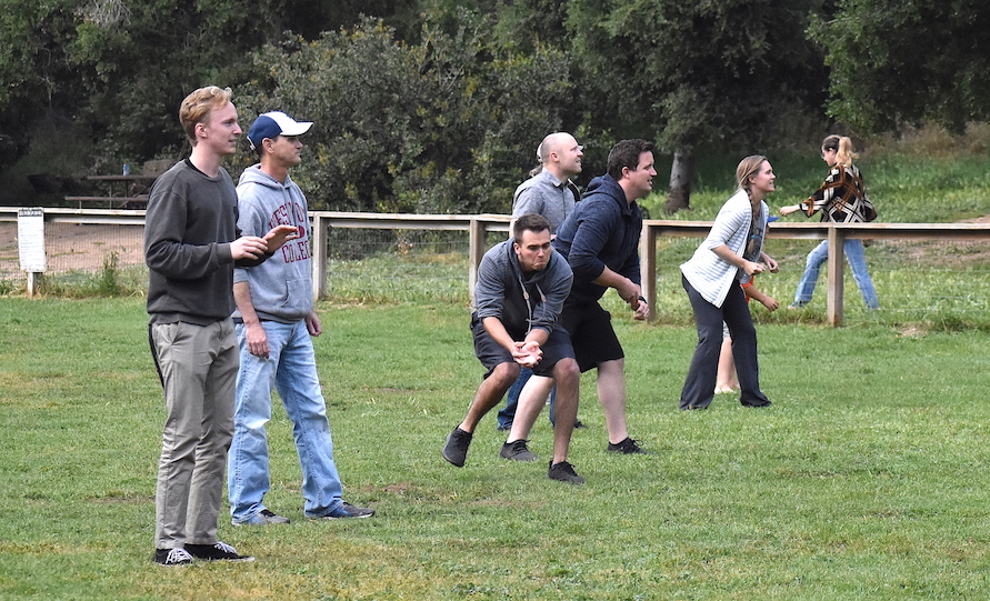 Photo 40