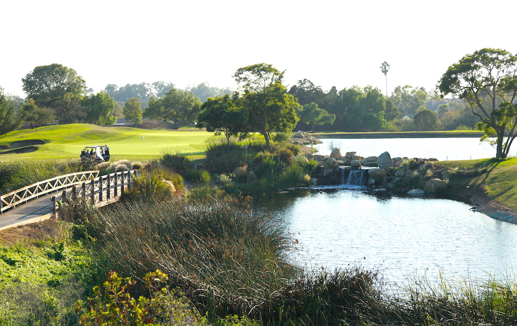 Golf Tournament