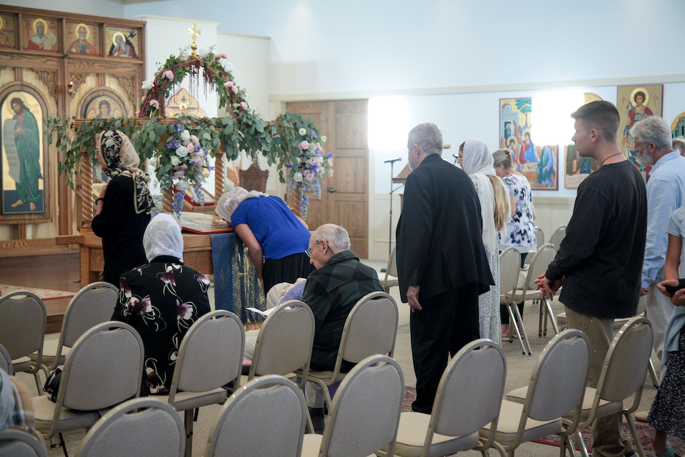 Photo 46