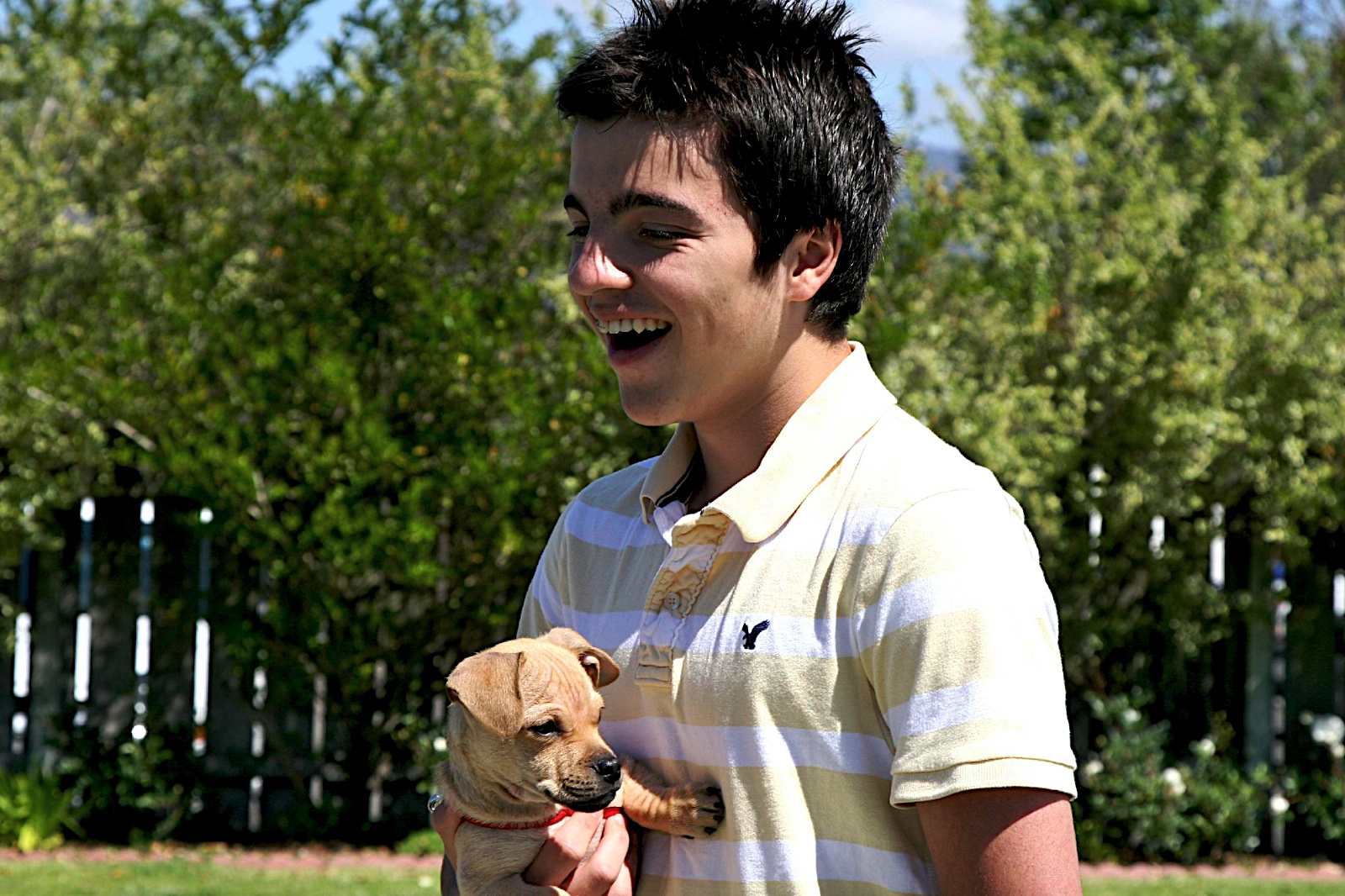 Photo 23