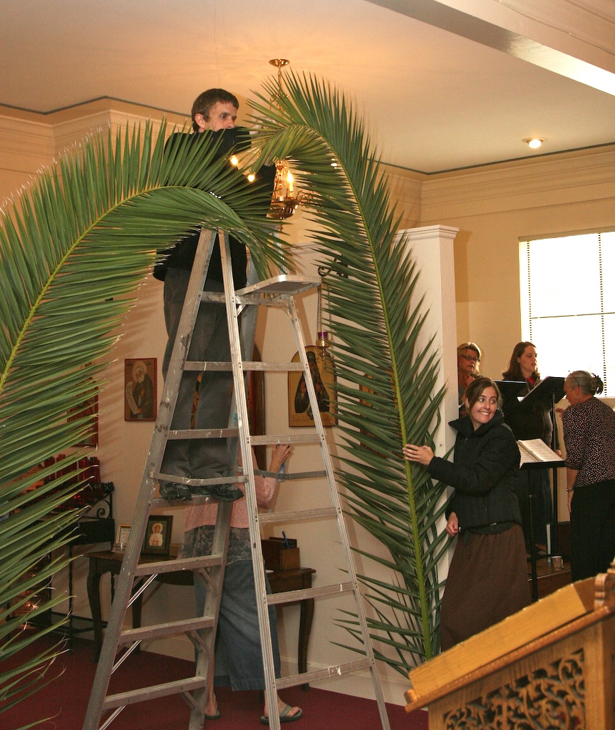 Photo 28