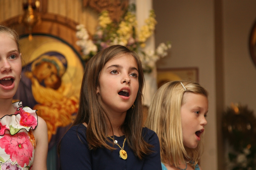 Photo 44