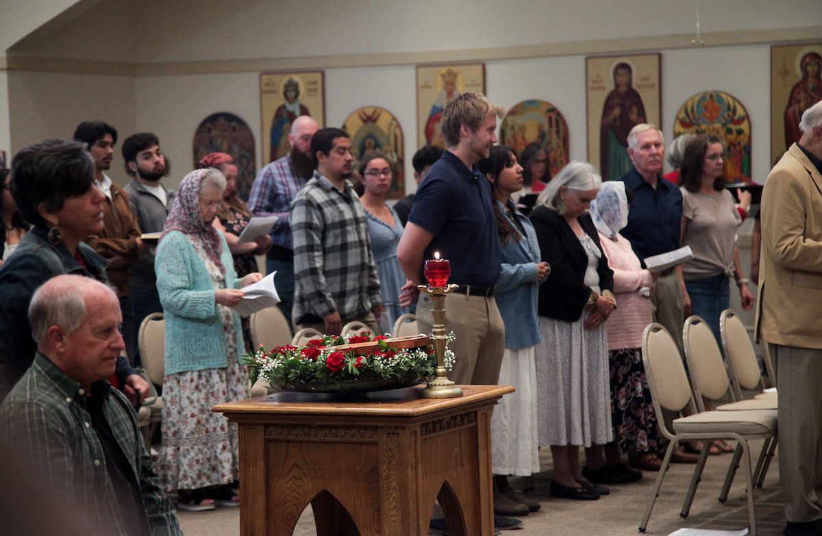 Photo 42