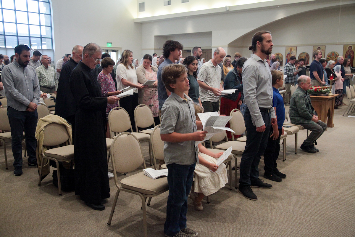 Photo 45