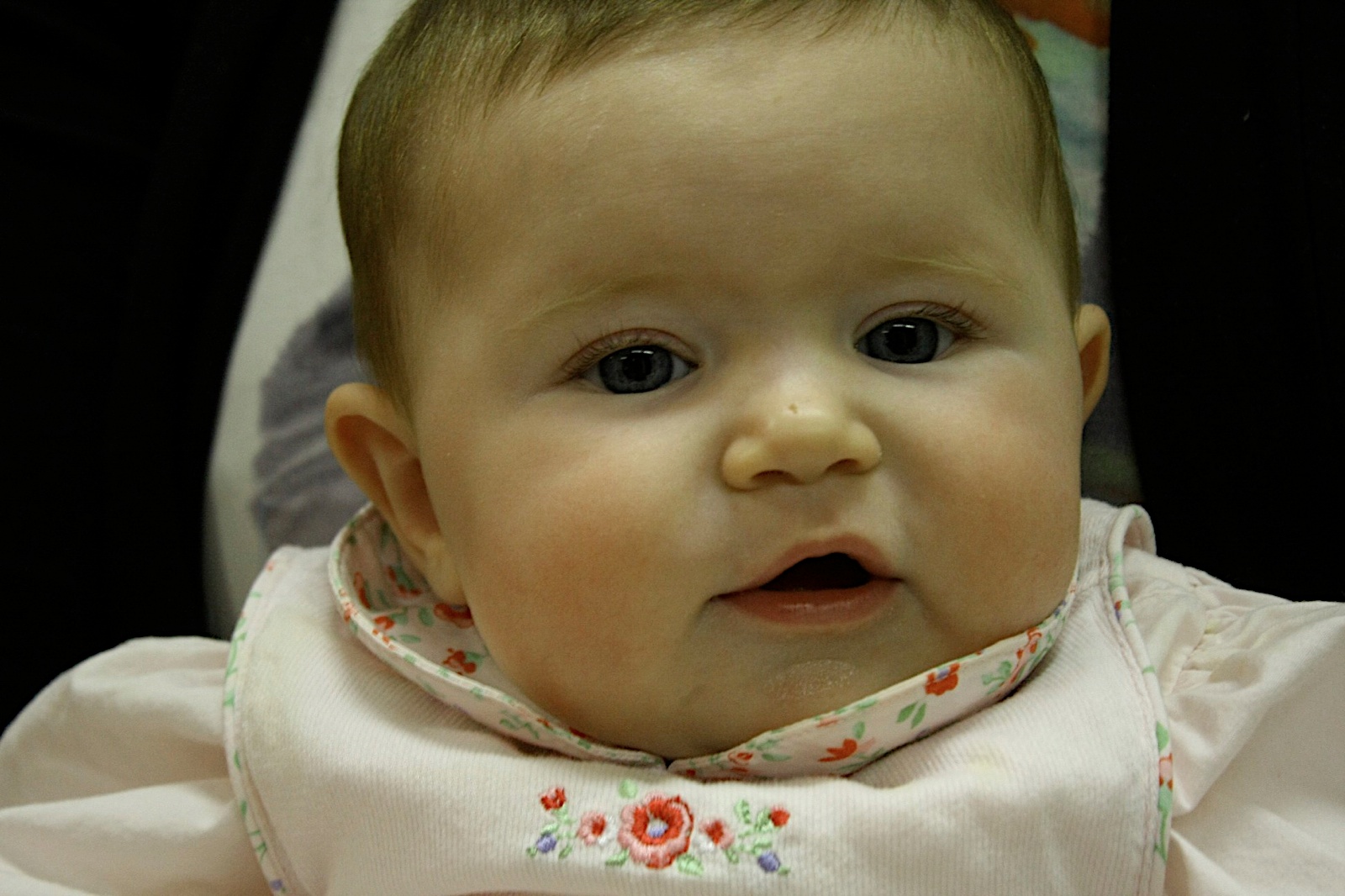 Photo 44