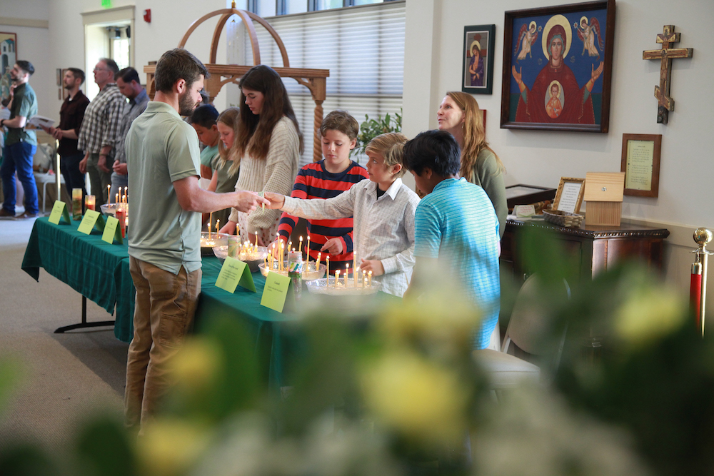 Photo 46