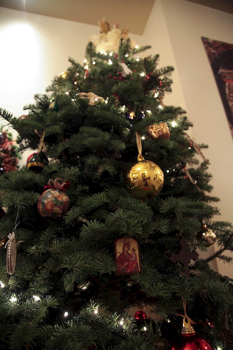 Photo 26