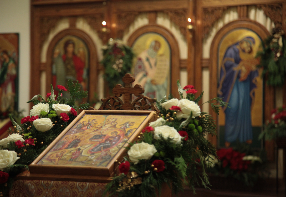 Photo 42