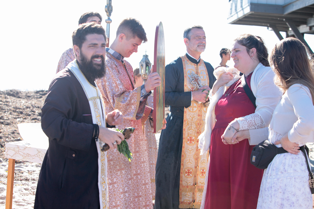 Photo 231