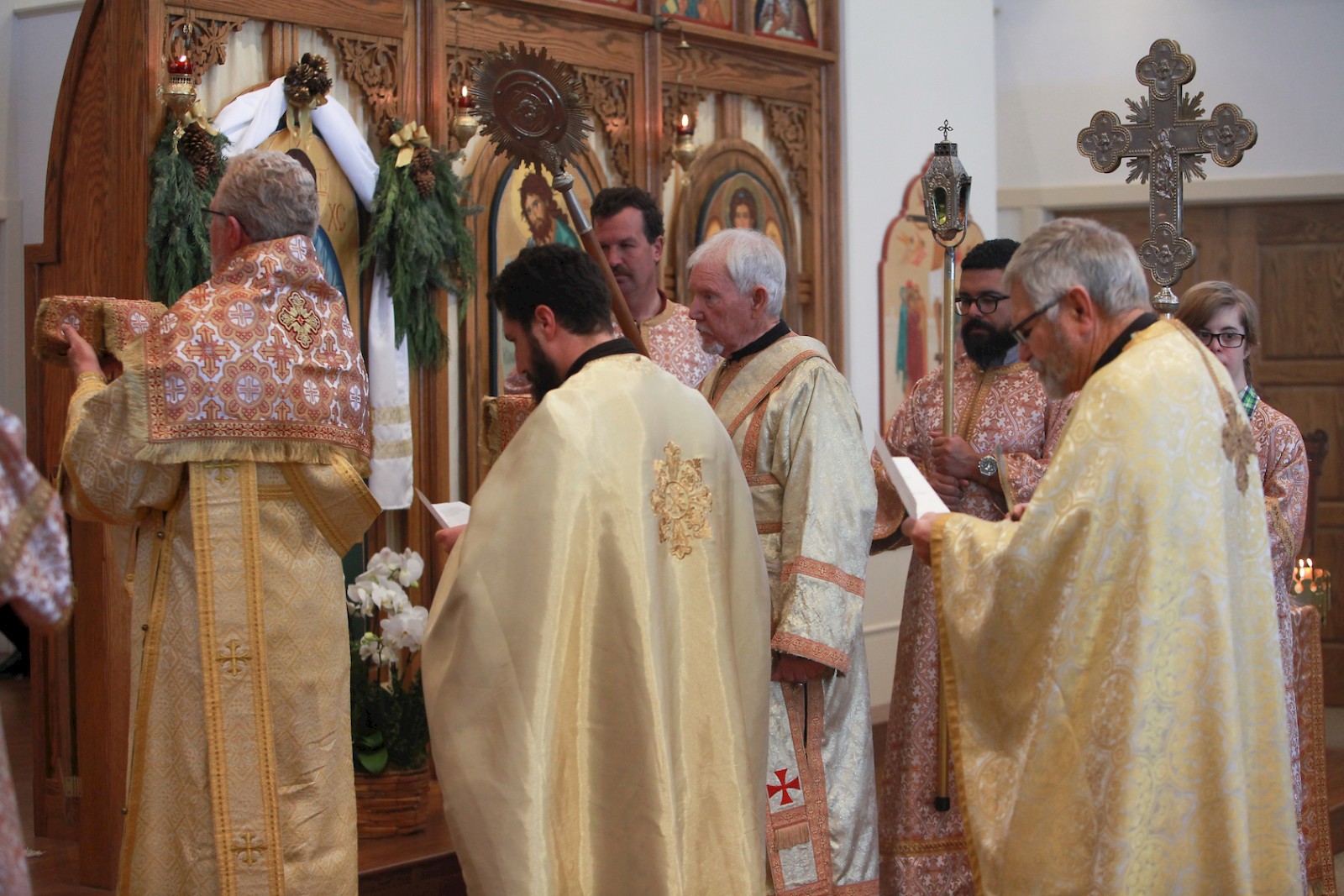Photo 232