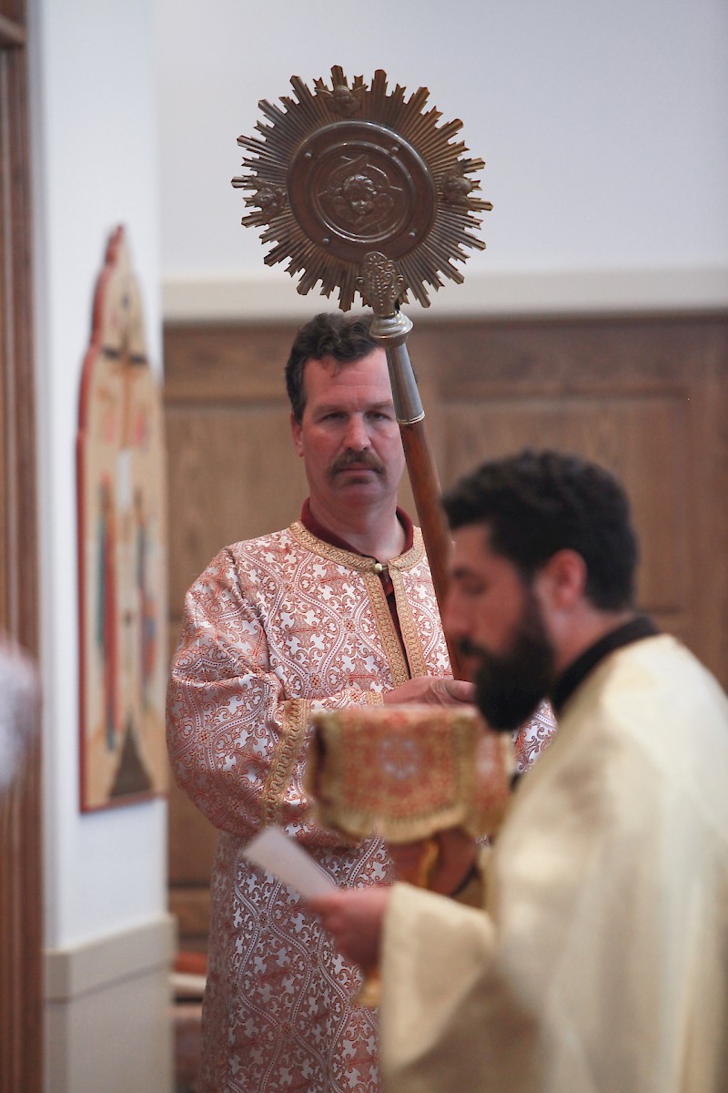 Photo 228