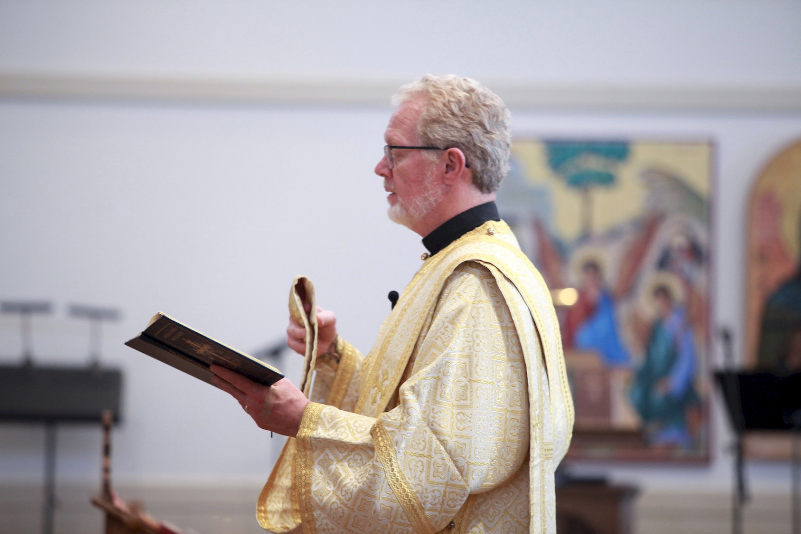 Photo 244