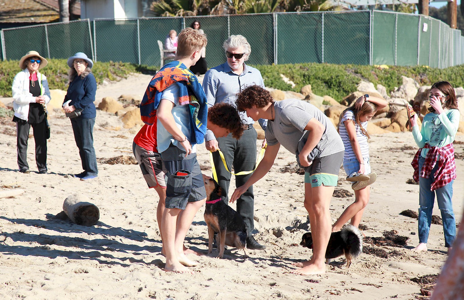 Photo 15