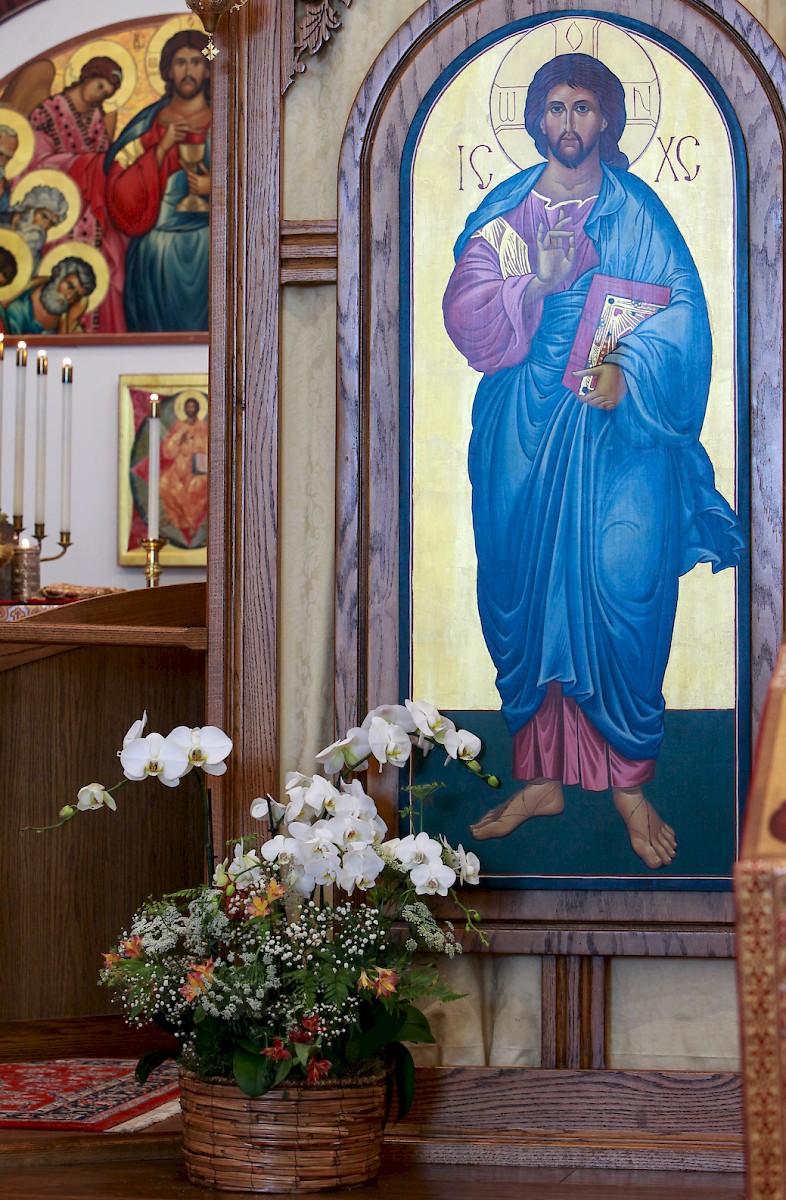 Photo 82