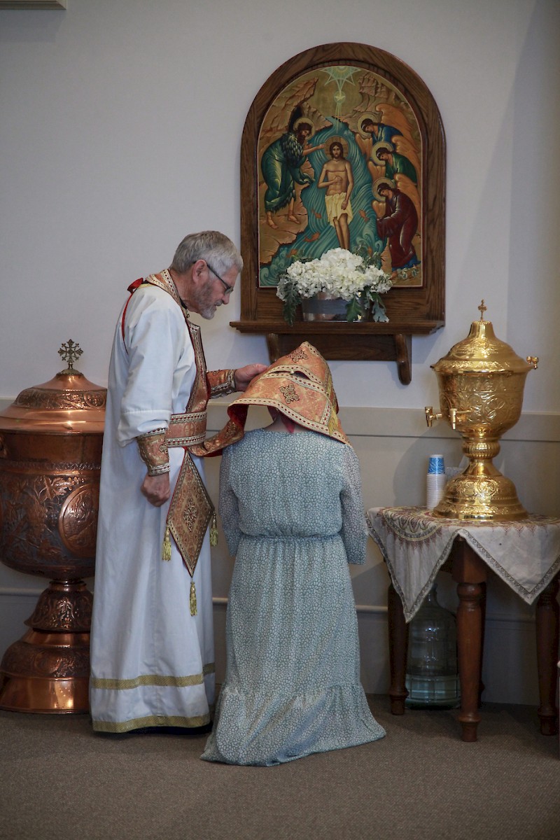 Photo 236
