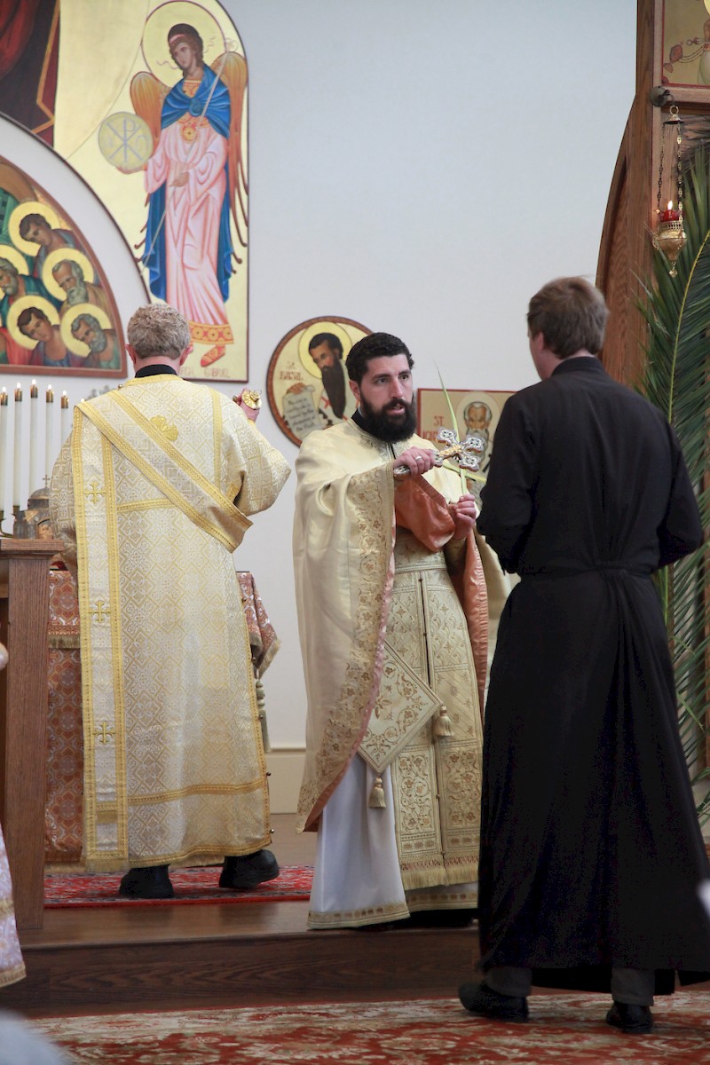 Photo 237
