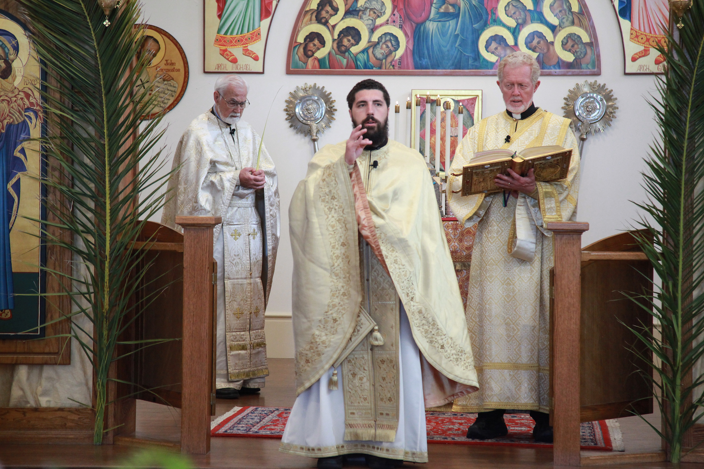 Photo 253
