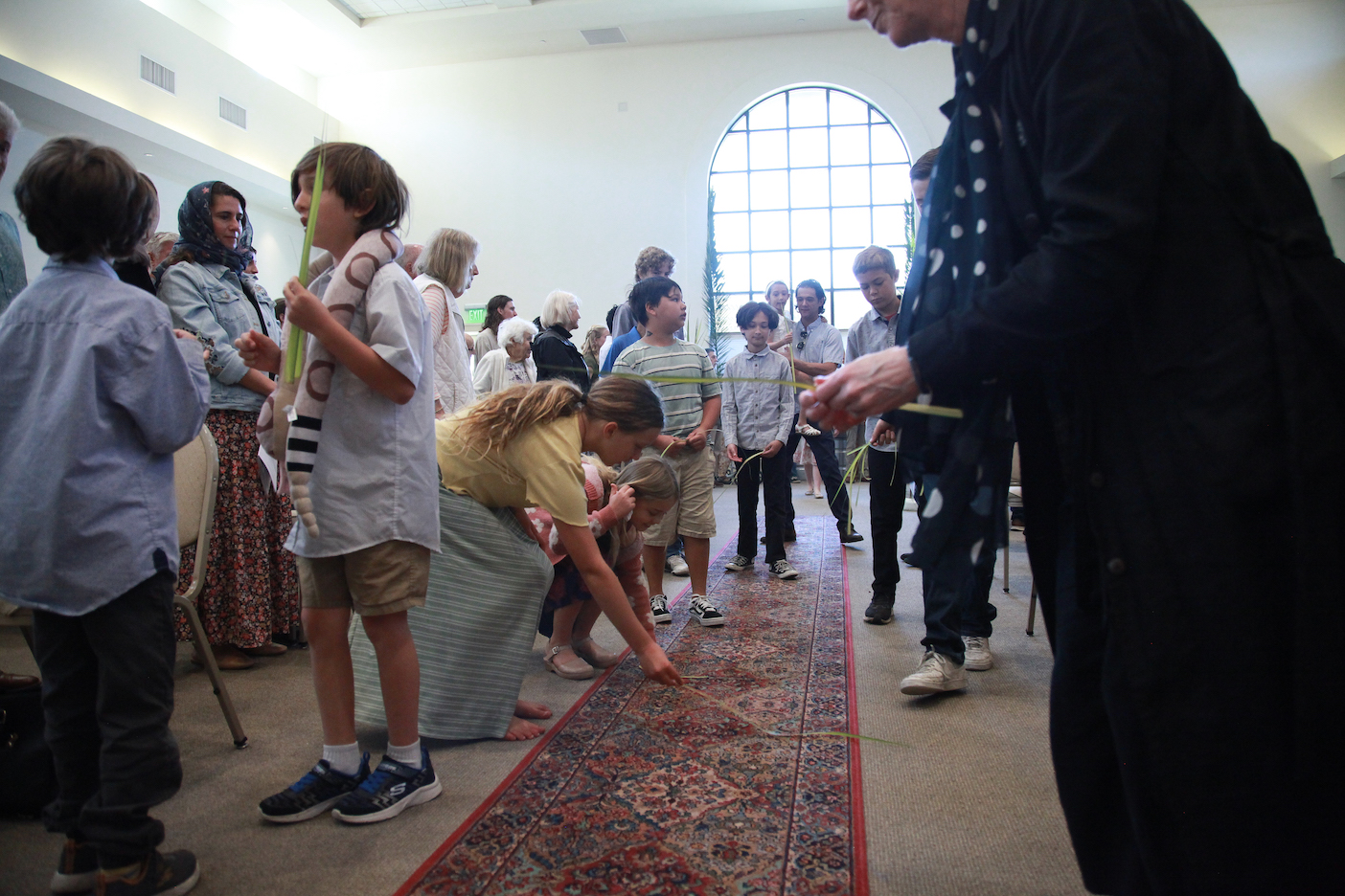 Photo 48