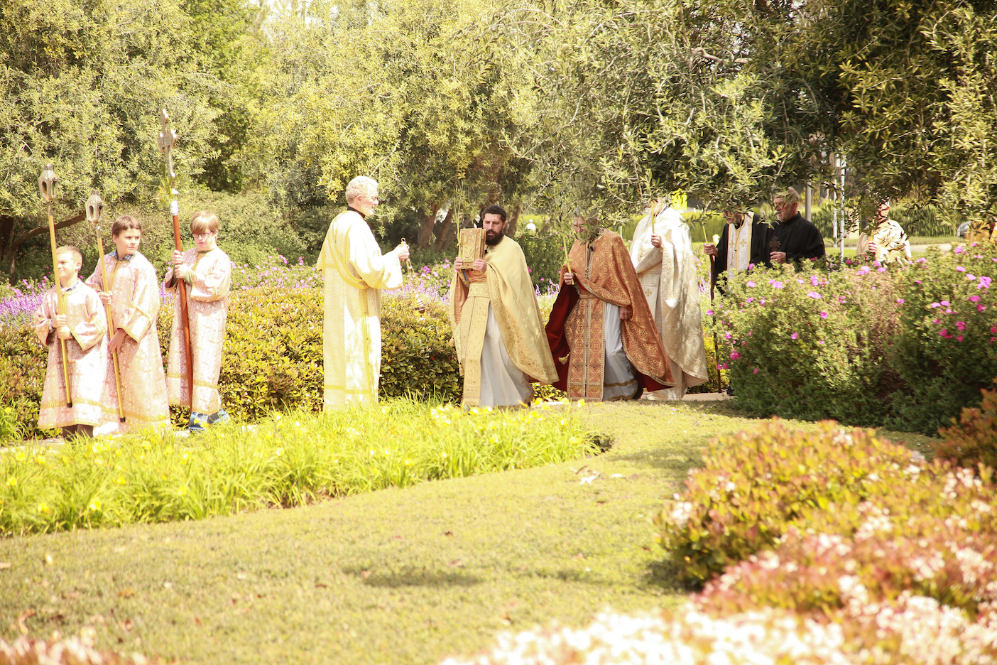 Photo 205
