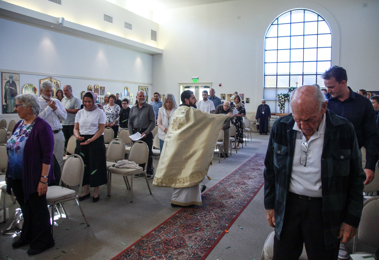 Photo 282