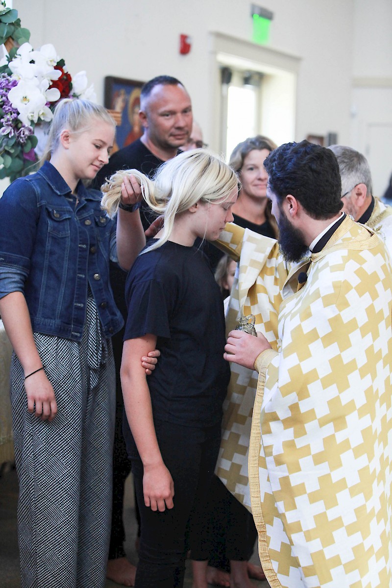 Photo 31