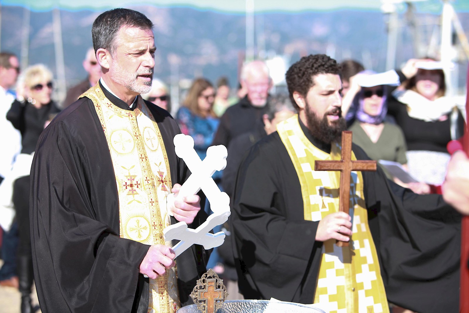 Photo 236