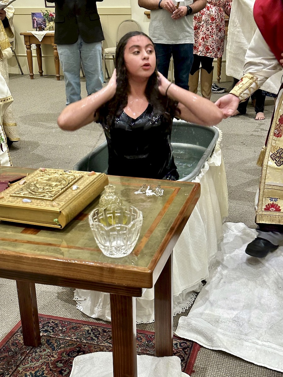 Photo 29