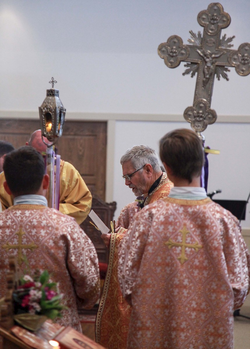 Photo 218