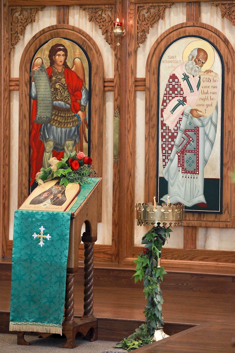 Photo 81