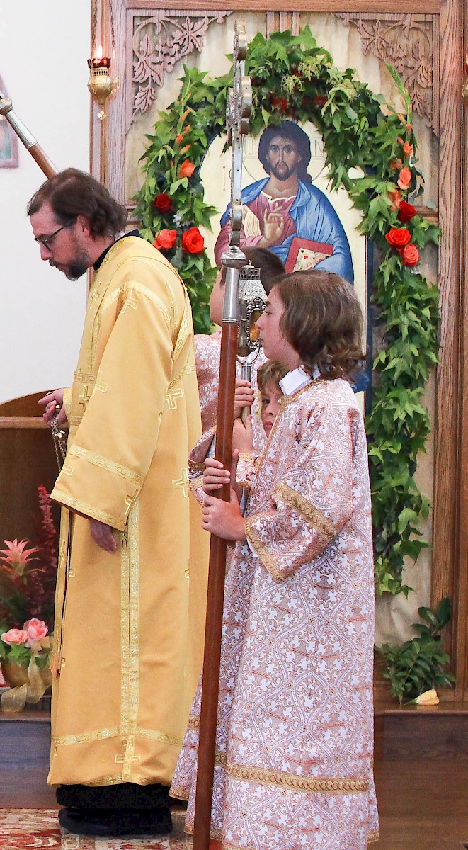 Photo 115