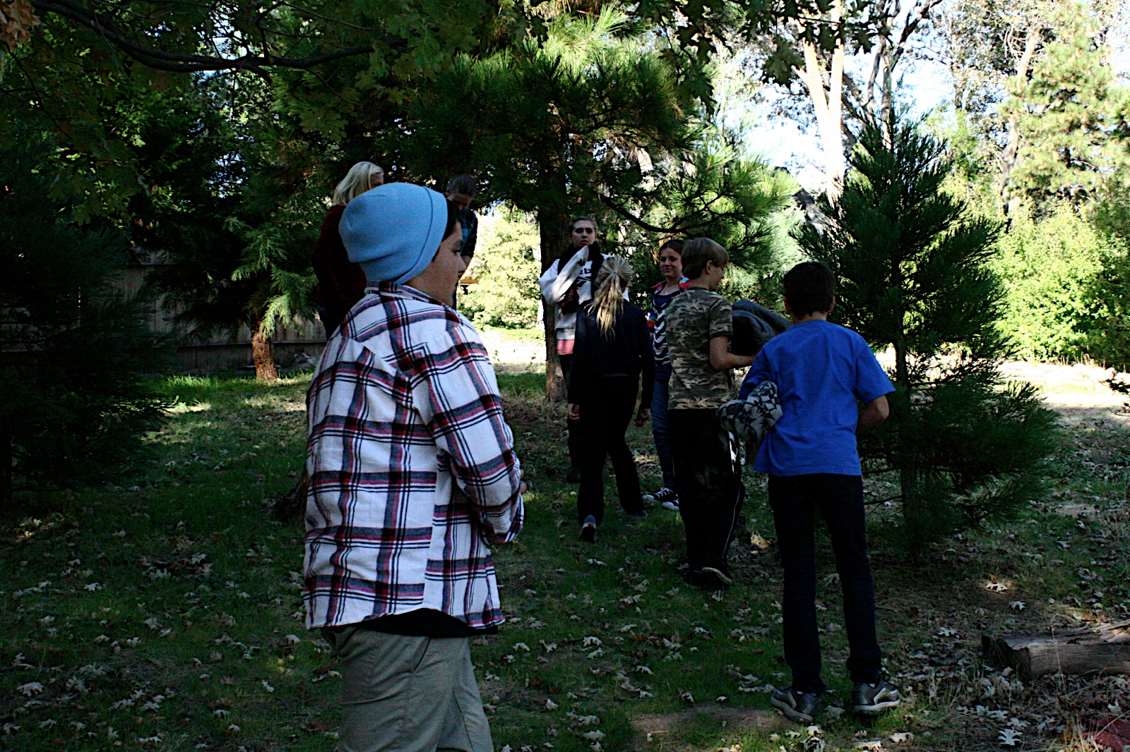 Photo 11