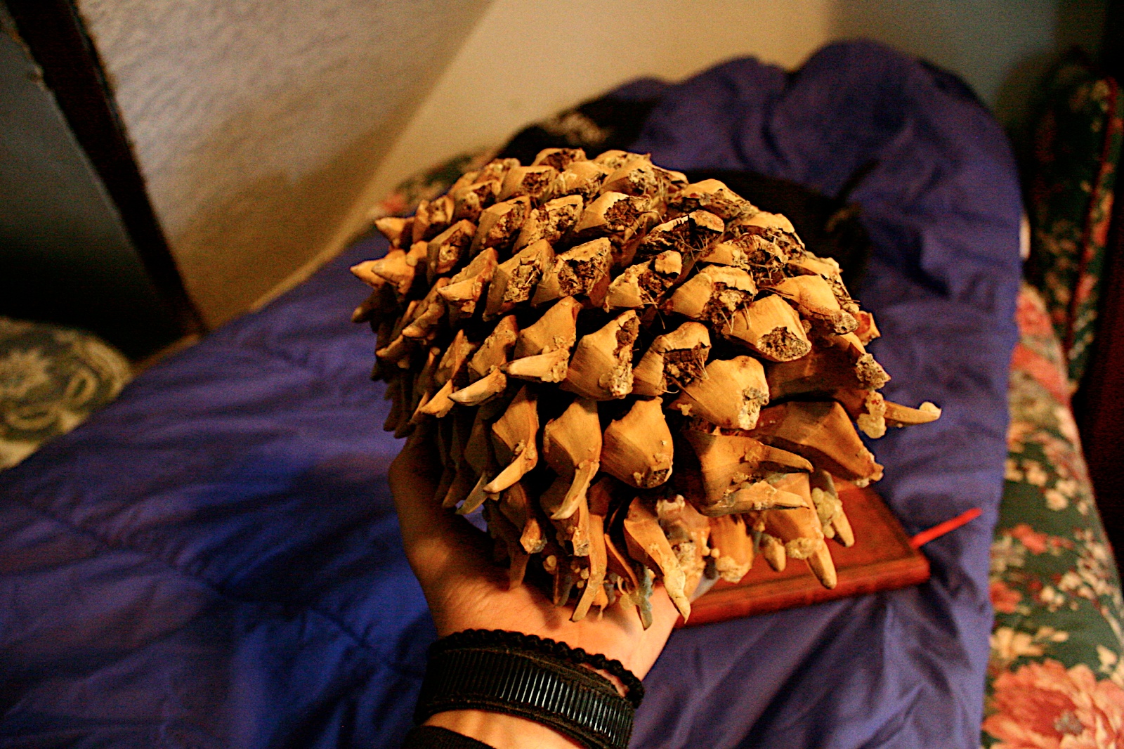 Photo 13