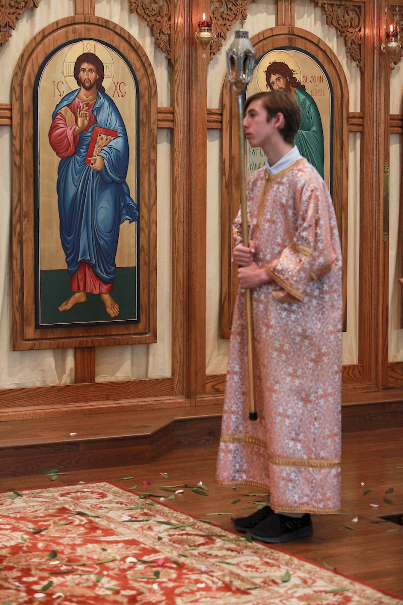 Photo 126