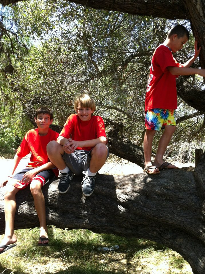 Photo 32